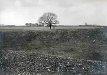 Het borgterrein is vóór 1972 nog zichtbaar in het landschap. De foto is het borgterrein in 1922 (Pastoor, Gron. V.A. blz. 18).